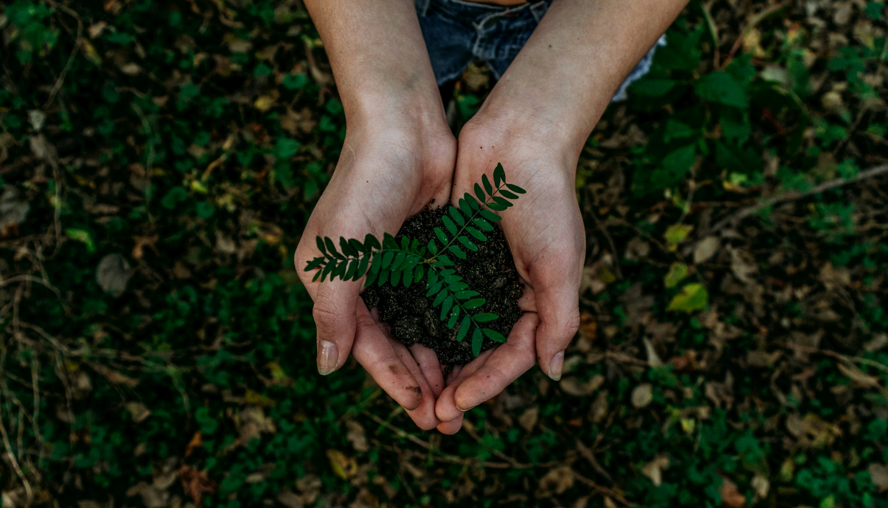Sustainability at Firenze Knitwear